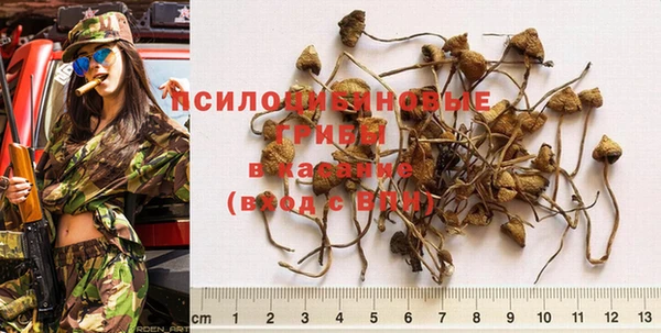 мескалин Верея