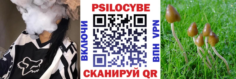 сайты даркнета наркотические препараты  Юрюзань  Галлюциногенные грибы GOLDEN TEACHER 